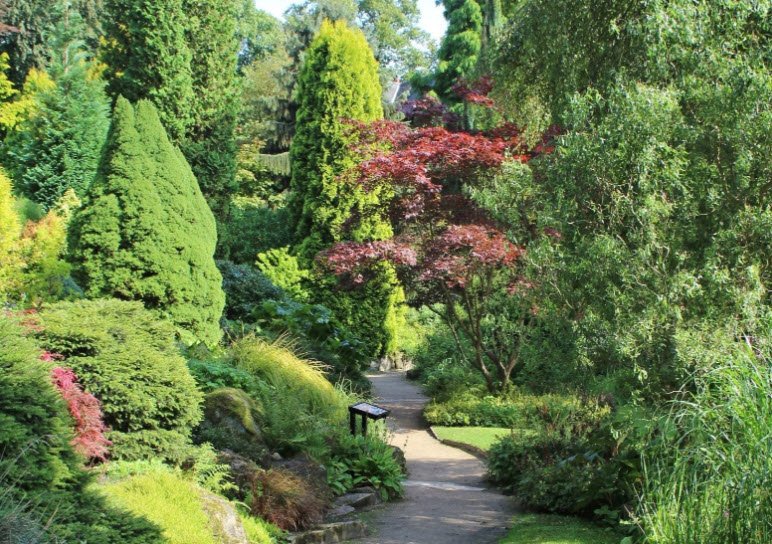 Fletcher Moss Botanical Gardens, United Kingdom